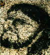 Le visage du Christ sur un rocher